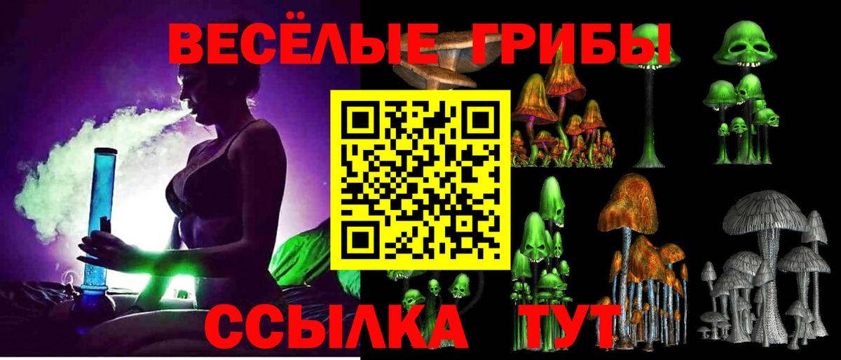закладки  Псилоцибиновые грибы Psilocybe  Галлюциногенные грибы Psilocybine cubensis  Вход с VPN  Красноуфимск 