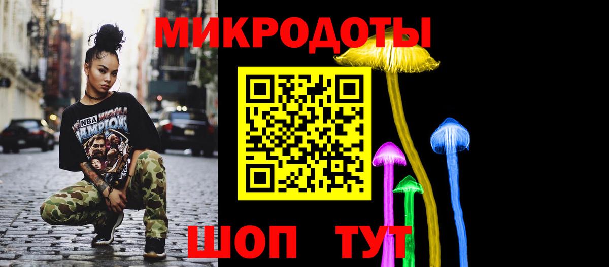 Псилоцибиновые грибы Psilocybe Красноуфимск